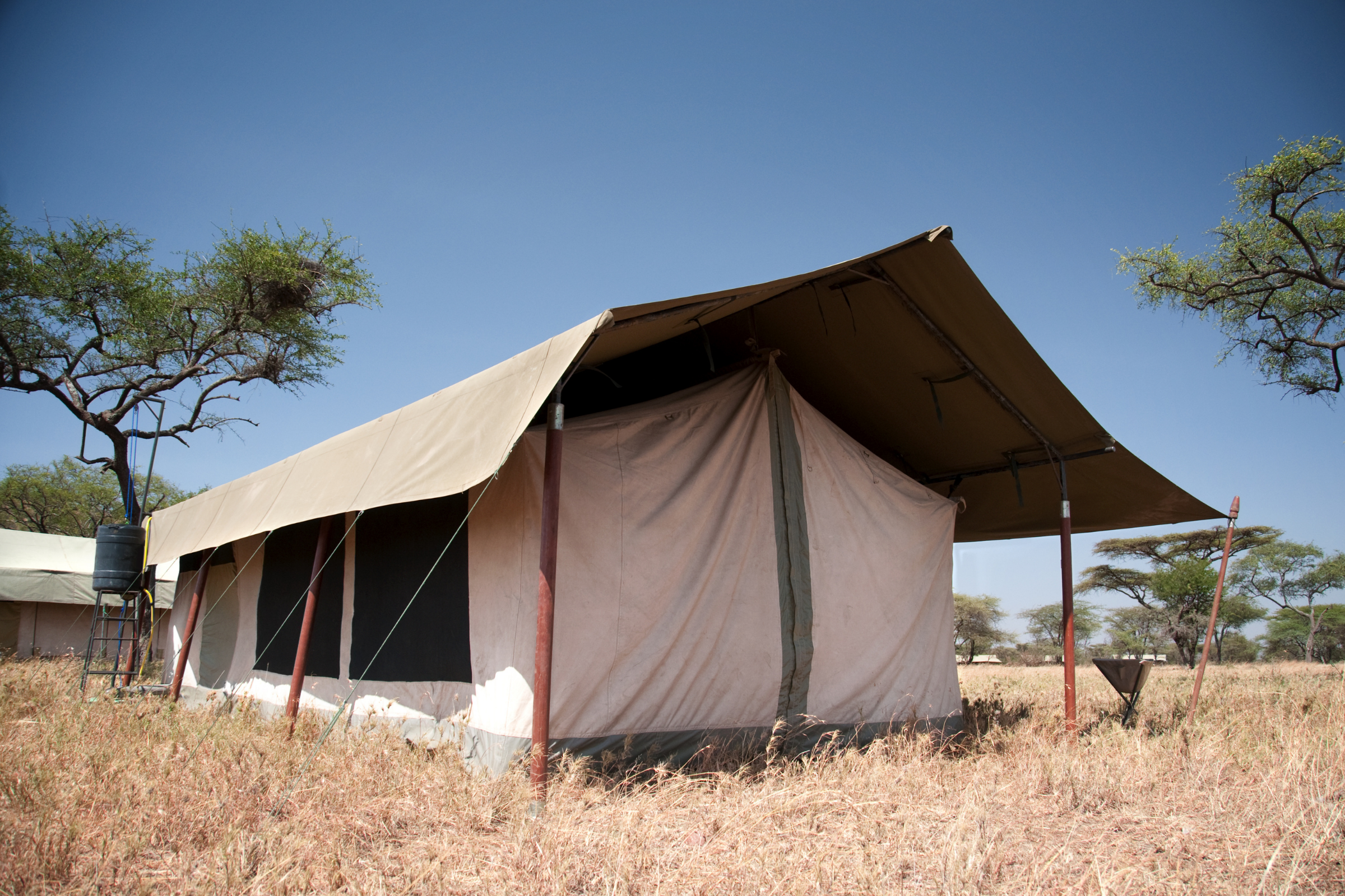 machame camp (4).webp